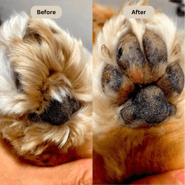 CleanTrim™ Pro Paw Trimmer | Precise & Gentle Grooming For Pets | Rechargeable & Safe