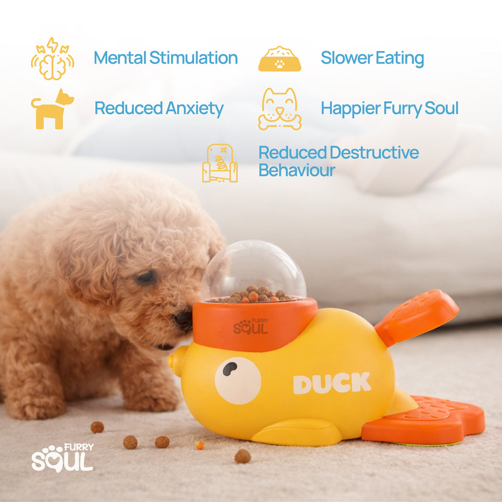 CalmSoul™ Interactive Feeder