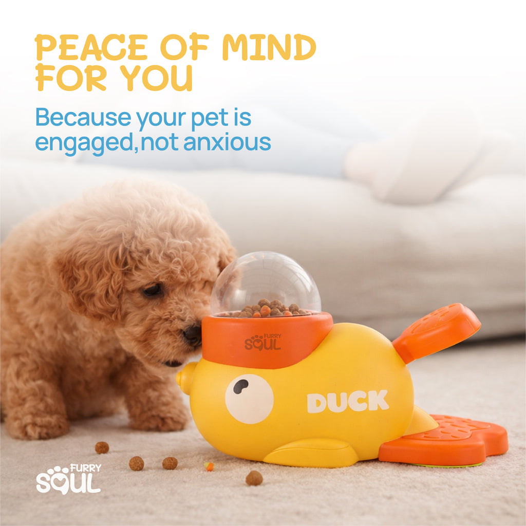 CalmSoul™ Interactive Feeder