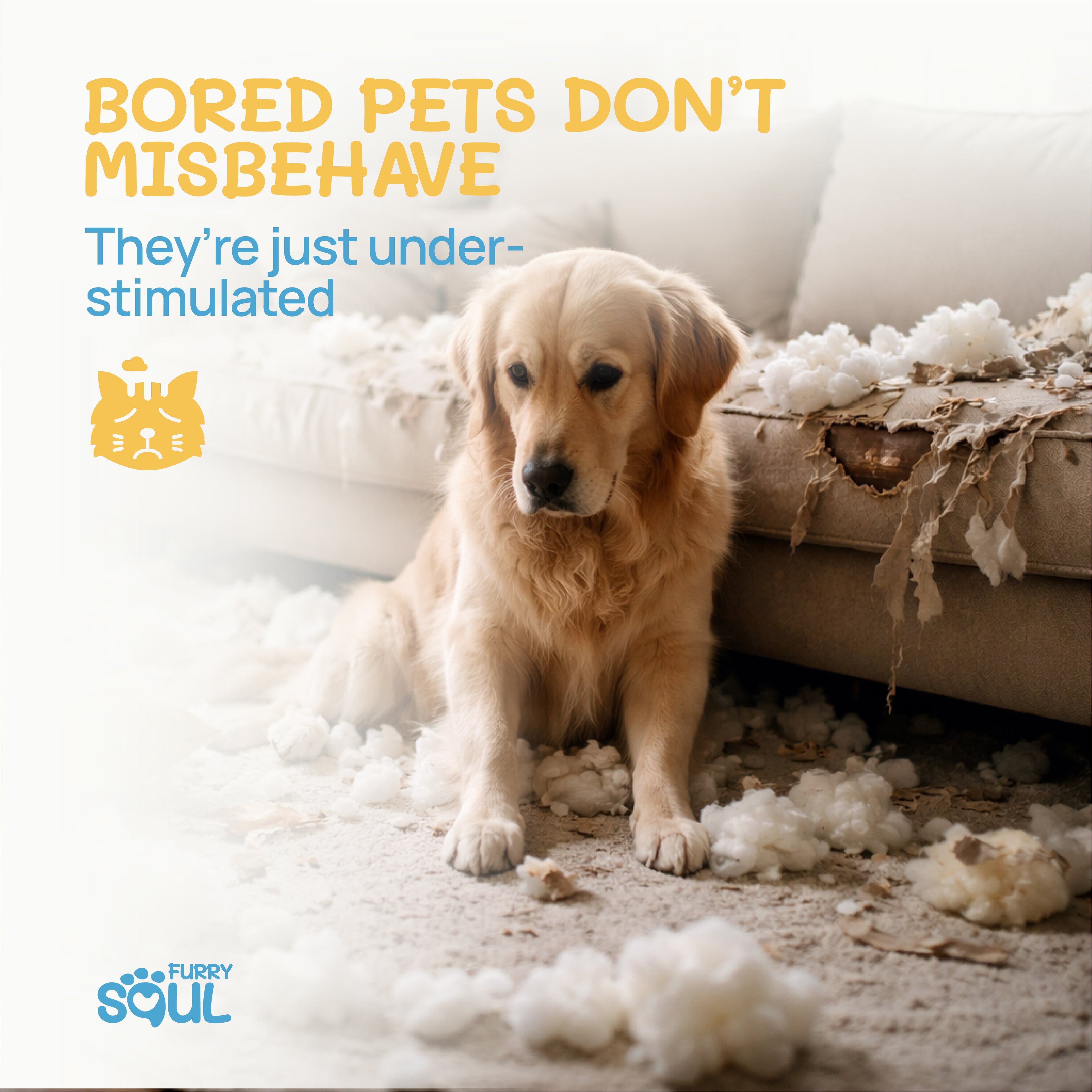 CalmSoul™ Interactive Feeder